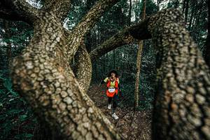 BIB: 
                            <button type="button" onclick="openModal(25393406)" class="btn btn-primary btn-sm float-right btn-popup" data-toggle="modal" data-target=".modal-high-quality">
                        <i class="fas fa-shopping-cart"></i> Add to Cart
                    </button>
                                            <button type="button" onclick="isThisMe(25393406, true)" class="btn btn-success btn-sm float-right btn-popup btn-isme hidden" data-toggle="tooltip" data-placement="bottom" title="นี่คือรูปของคุณใช่ไหม คลิกที่นี่เพื่อเอาเข้าอัลบั้ม">
                        <i class="fas fa-plus"></i> Add to album
                    </button>
                    <button type="button" onclick="isThisMe(25393406, false)" class="btn btn-warning btn-sm float-right btn-popup btn-isnotme hidden">
                        <i class="fas fa-ban"></i> Remove from album
                    </button>